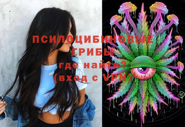 МДПВ Алексин