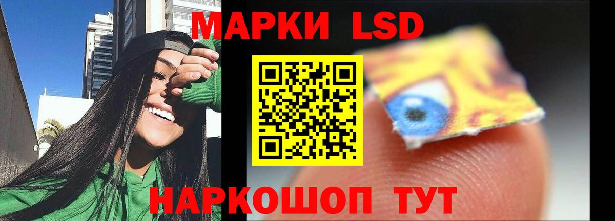 МЕФ Томск