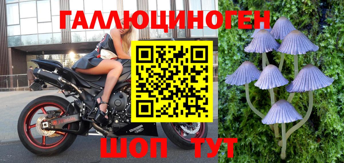 Галлюциногенные грибы MAGIC MUSHROOMS  Вход с VPN  Псилоцибиновые грибы Psilocybe  Томск 